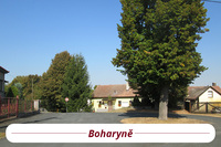 Boharyně